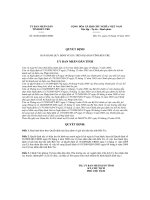 QUYẾT ĐỊNH Số: 30/2010/QĐ-UBND pot