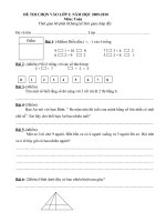 Đề thi HSG: Toán, Tiếng Việt lớp 1