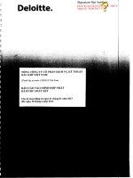 báo cáo tái chính hợp nhất bán niên 2013 soát xét tổng công ty cổ phần dịch vụ kỹ thuật dầu khí việt nam