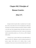 Chapter 062. Principles of Human Genetics (Part 17) pdf