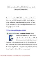 Gỡ bỏ mật mã cho Office, PDF, RAR (5 trong 1) với Password Unlocker 2010- P1 docx