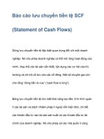 Báo cáo lưu chuyển tiền tệ SCF pps