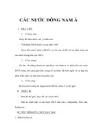 Giáo án lịch sử 9 - CÁC NƯỚC ĐÔNG NAM Á ppsx