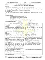 thu cong lop 1 - tuan 32 ( co hinh )