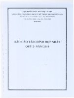 báo cáo tài chính hợp nhất quý 2 năm 2010 tổng cổ phần dịch vụ kỹ thuật dầu khí việt nam ptsc