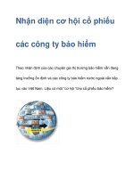 Nhận diện cơ hội cổ phiếu các công ty bảo hiểm ppsx