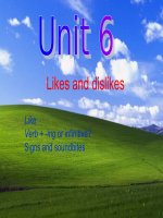 Giáo trình New Head Way - Like and Dislikes pptx