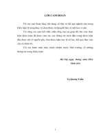 Giải pháp đẩy mạnh tiêu thụ sản phẩm gạch tại công ty cổ phần vật liệu xây dựng Viên Châu