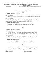 Đề luyện thi TN -L Sử (1)