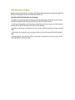 Chữa bệnh bằng vỏ trứng gà ppsx