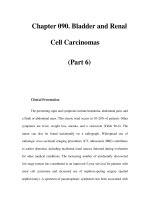 Chapter 090. Bladder and Renal Cell Carcinomas (Part 6) pptx
