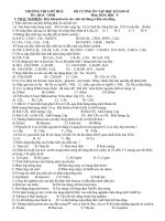 DE CUONG HOA 9 HK II VIP