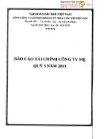 báo cáo tài chính quý iii 2013 công ty mẹ tổng công ty cổ phần dịch vụ kỹ thuật dầu khí việt nam
