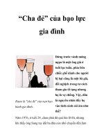 “Cha đẻ” của bạo lực gia đình pot