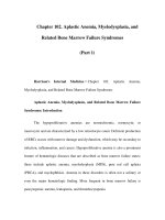 Chapter 102. Aplastic Anemia, Myelodysplasia, and Related Bone Marrow Failure Syndromes (Part 1) ppsx
