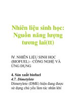 Nhiên liệu sinh học: Nguồn năng lượng tương lai(tt) pot