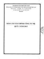 báo cáo tài chính công ty mẹ quý i 2013 tổng công ty cổ phần dịch vụ kỹ thuật dầu khí việt nam