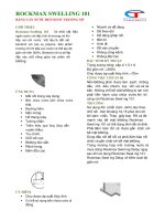 BĂNG CẢN NƯỚC BENTONIT TRƯƠNG NỞ pptx