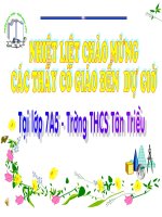 Bài giảng Ôn tập chương IV đại số 7 năm học 2013  2014