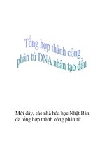 tổng hợp thành công phân tử DNA nhân tạo pps