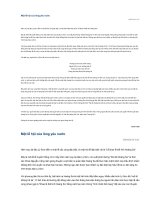 Một lễ hội của lòng yêu nước