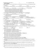 Ôn thi học kỳ 2 Lý 11