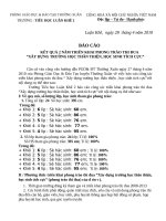 BC Ket qua 2 nam thuc hien PT XD truong hoc TT, HSTC