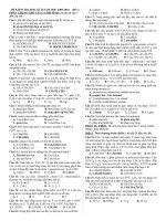 12 De Thi HKII_Hoa 11