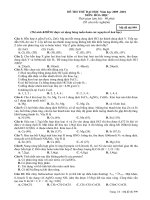 ĐỀ THI THỬ ĐẠI HỌC 2009-2010 (HAY)