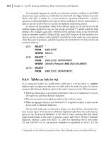 DATABASE SYSTEMS (phần 7) pdf
