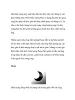 Nguồn gốc của một số biểu tượng quen thuộc trên máy tính- P2 pot