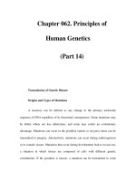 Chapter 062. Principles of Human Genetics (Part 14) pps