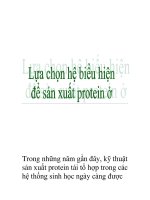Lựa chọn hệ biểu hiện để sản xuất protein ở vi khuẩn pptx