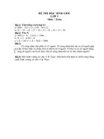 Đề ôn luyện HSG môn Toán 3