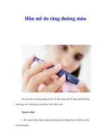 Hôn mê do tăng đường máu pdf