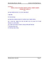 CHƯƠNG 3: DÒNG CHẢY ỔN ĐỊNH TRONG SÔNG THIÊN NHIÊN doc