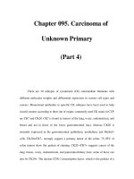 Chapter 095. Carcinoma of Unknown Primary (Part 4) ppt