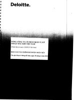 báo cáo tài chính công ty mẹ bán niên 2012 đã soát xét tổng công ty cổ phần dịch vụ kỹ thuật dầu khí việt nam