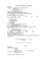 Giáo án tiếng anh 6 HKI