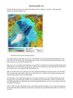 Đại Dương Bắc Cực