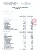 báo cáo tài chính hợp nhất tóm tắt quý i 2009 tổng công ty cổ phần dịch vụ kỹ thuật dầu khí ptsc