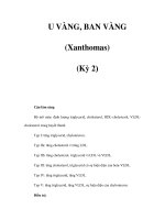 U VÀNG, BAN VÀNG (Xanthomas) (Kỳ 2) docx