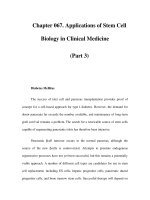 Chapter 067. Applications of Stem Cell Biology in Clinical Medicine (Part 3) pot