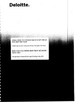 báo cáo tài chính bán niên 2012 hợp nhất đã soát xét tổng công ty cổ phần dịch vụ kỹ thuật dầu khí việt nam