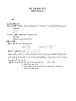 Đề Kiểm tra Học kỳ II môn Toán khối lớp 6