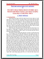 SKKN ĐOÀN TNCS HCM