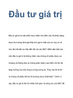 Đầu tư giá trị pot