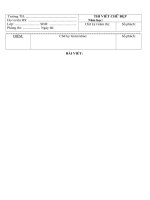 MAU GIAY VIET CHU DEP