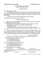 DỀ THI TIẾNG VIỆT CUỐI NĂM (LỚP 2)