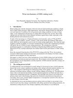 Wear mechanisms of HSS cutting tools pps